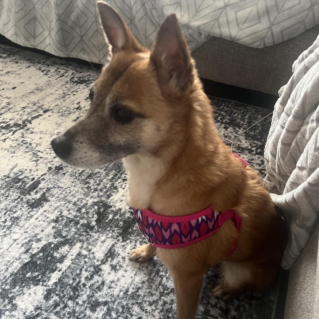 Vivi — thumbnail 4