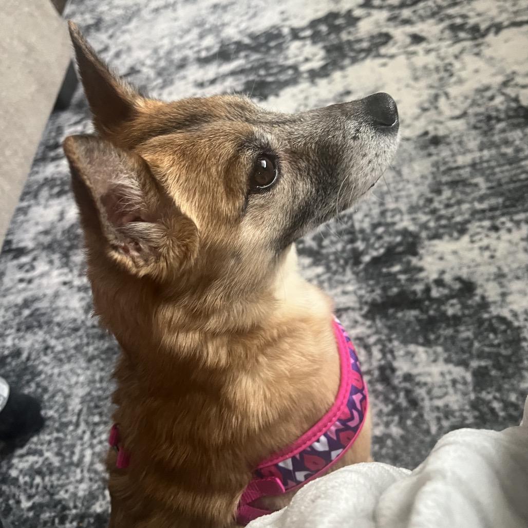 Vivi — thumbnail 5