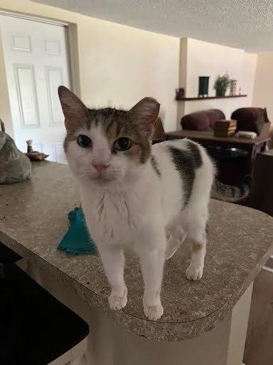 Sprout — thumbnail 2