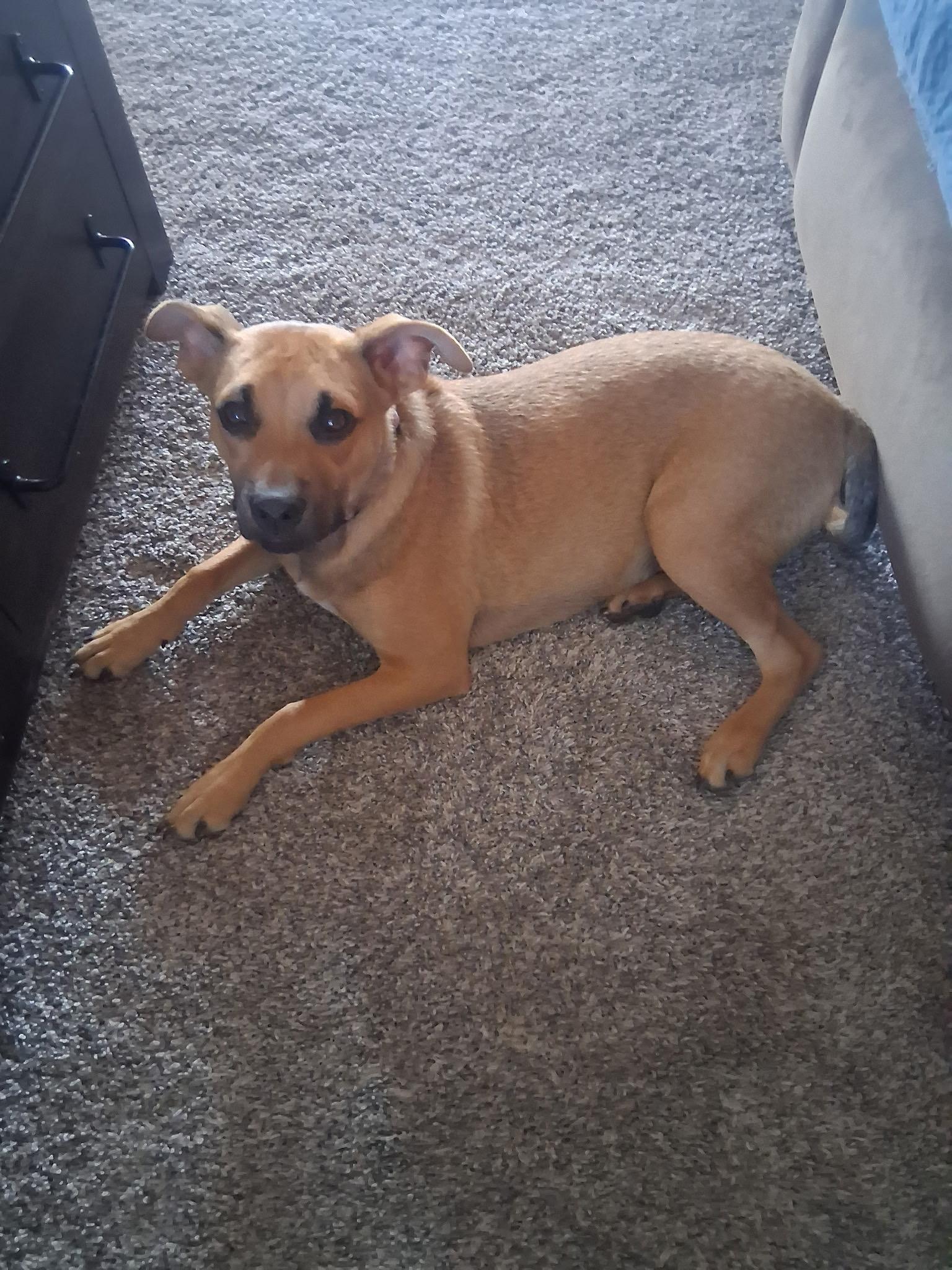 Lucy