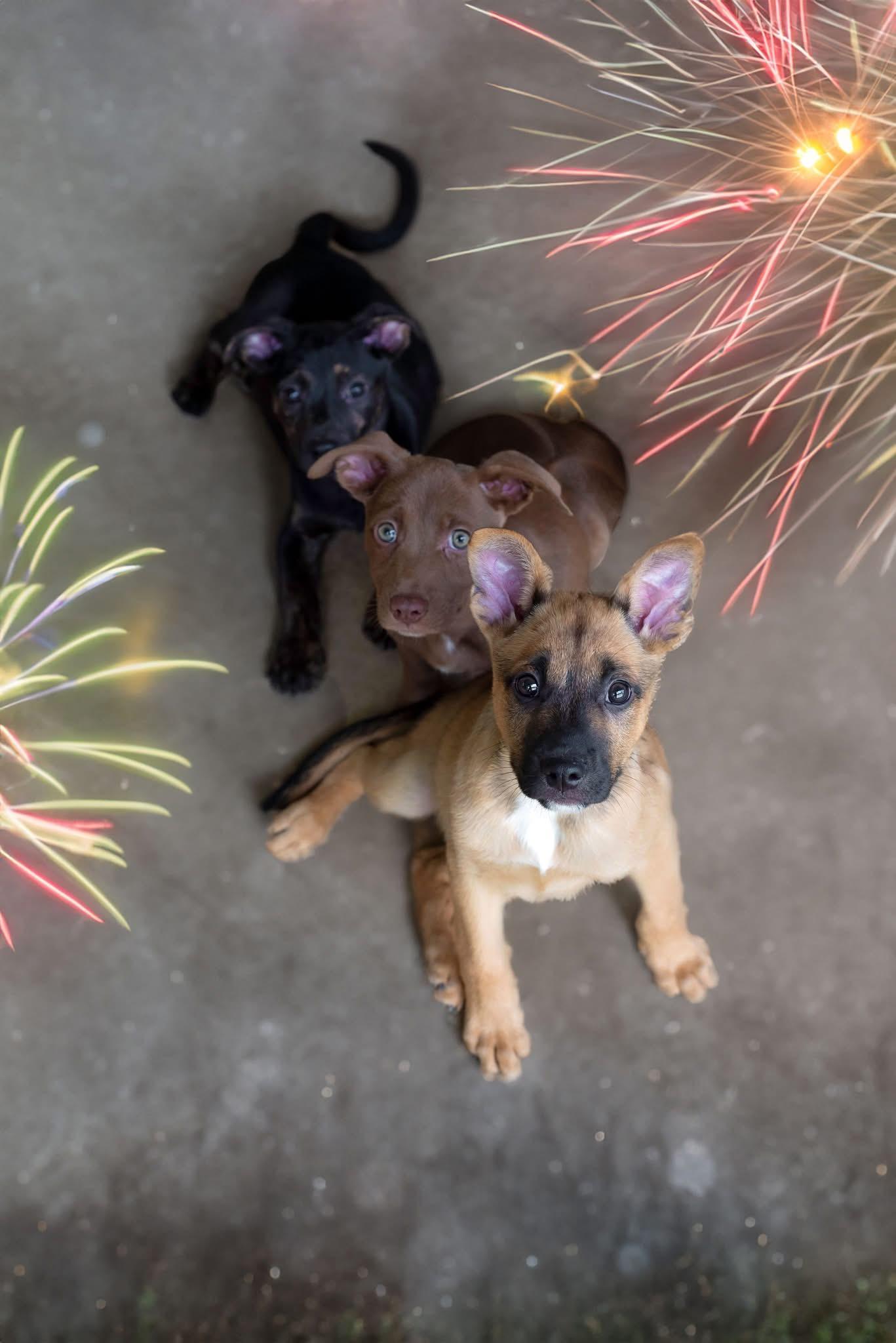 Whilstin’ Bung Hole