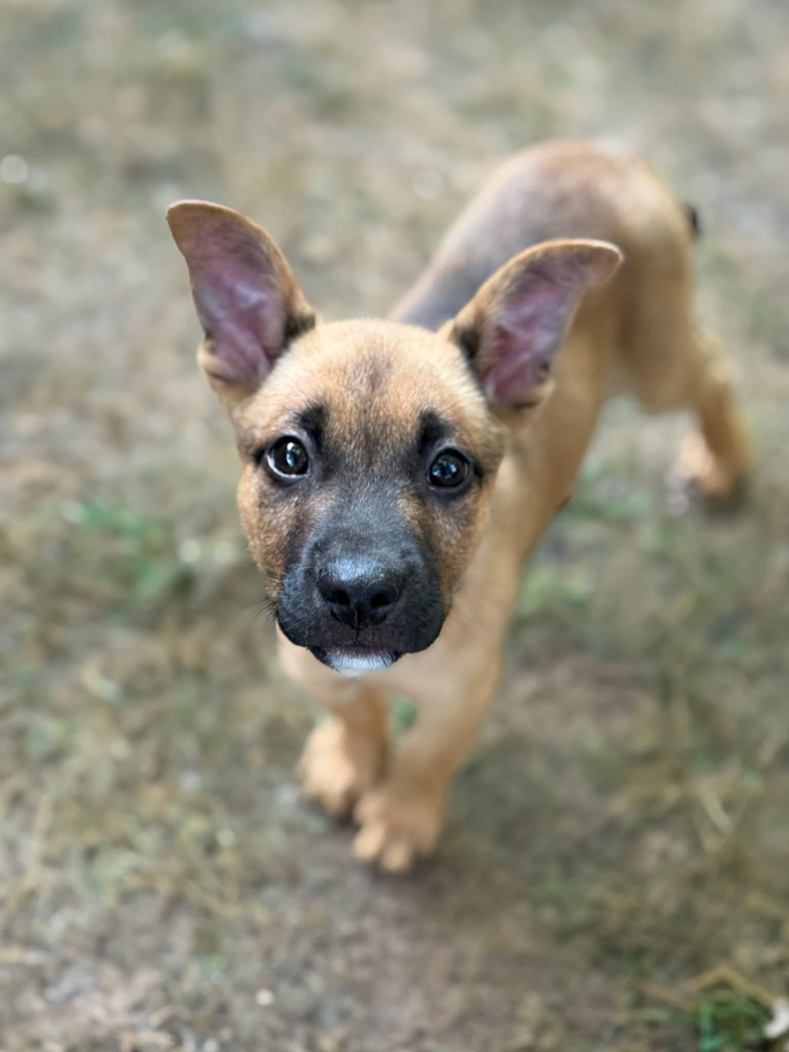 Whilstin’ Bung Hole