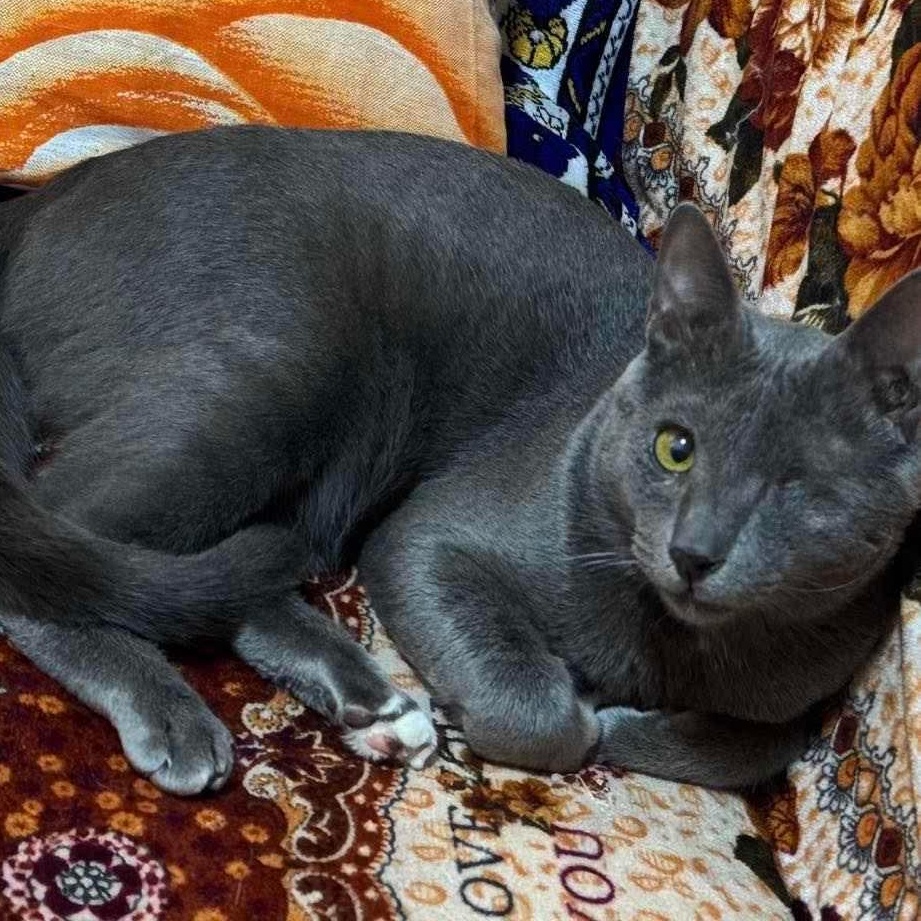 Jason J- 1 EYE, Adult Male unknown