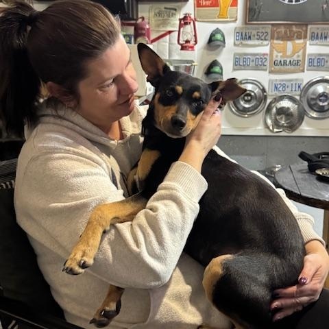 Enlarge Lacey, a Adoptable mixed breed in Ajax, ON image 4/5