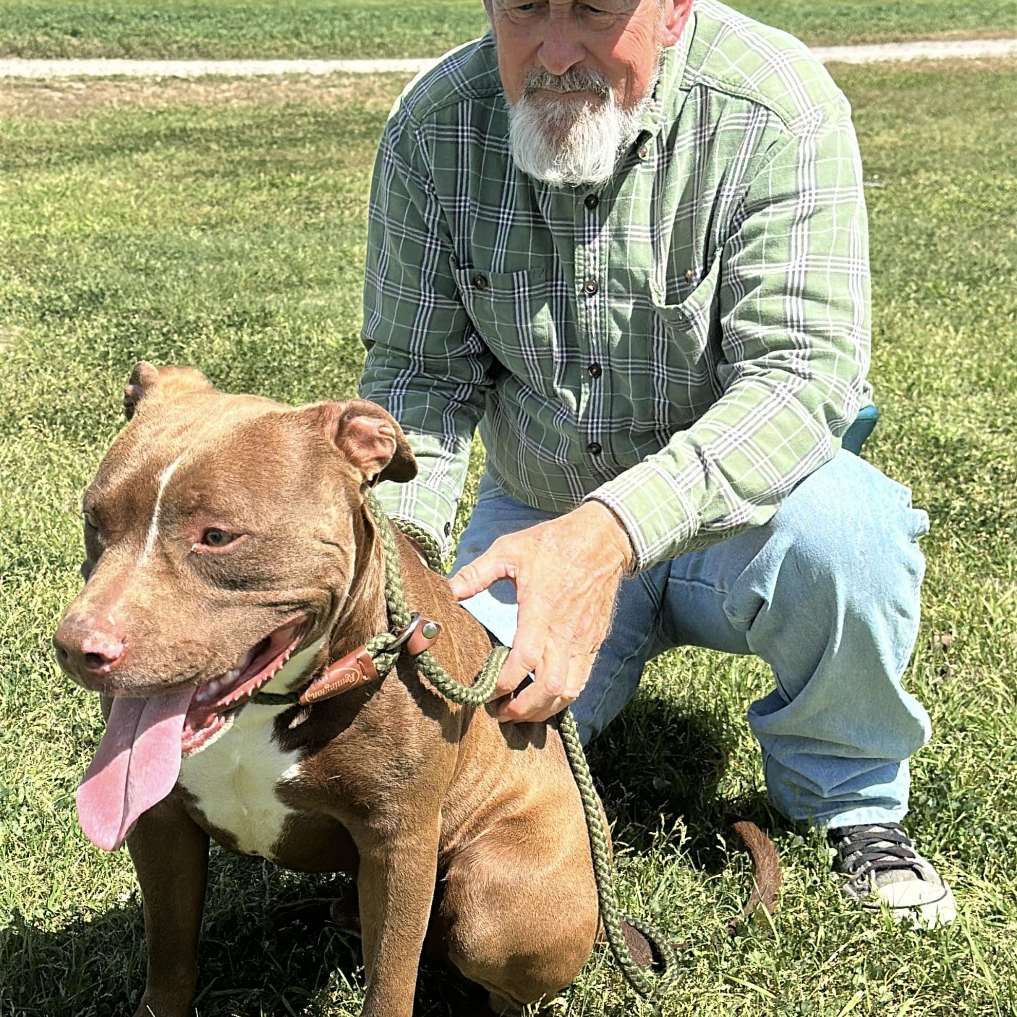 Enlarge Luke, a Adoptable mixed breed in Gonzales, TX image 4/5