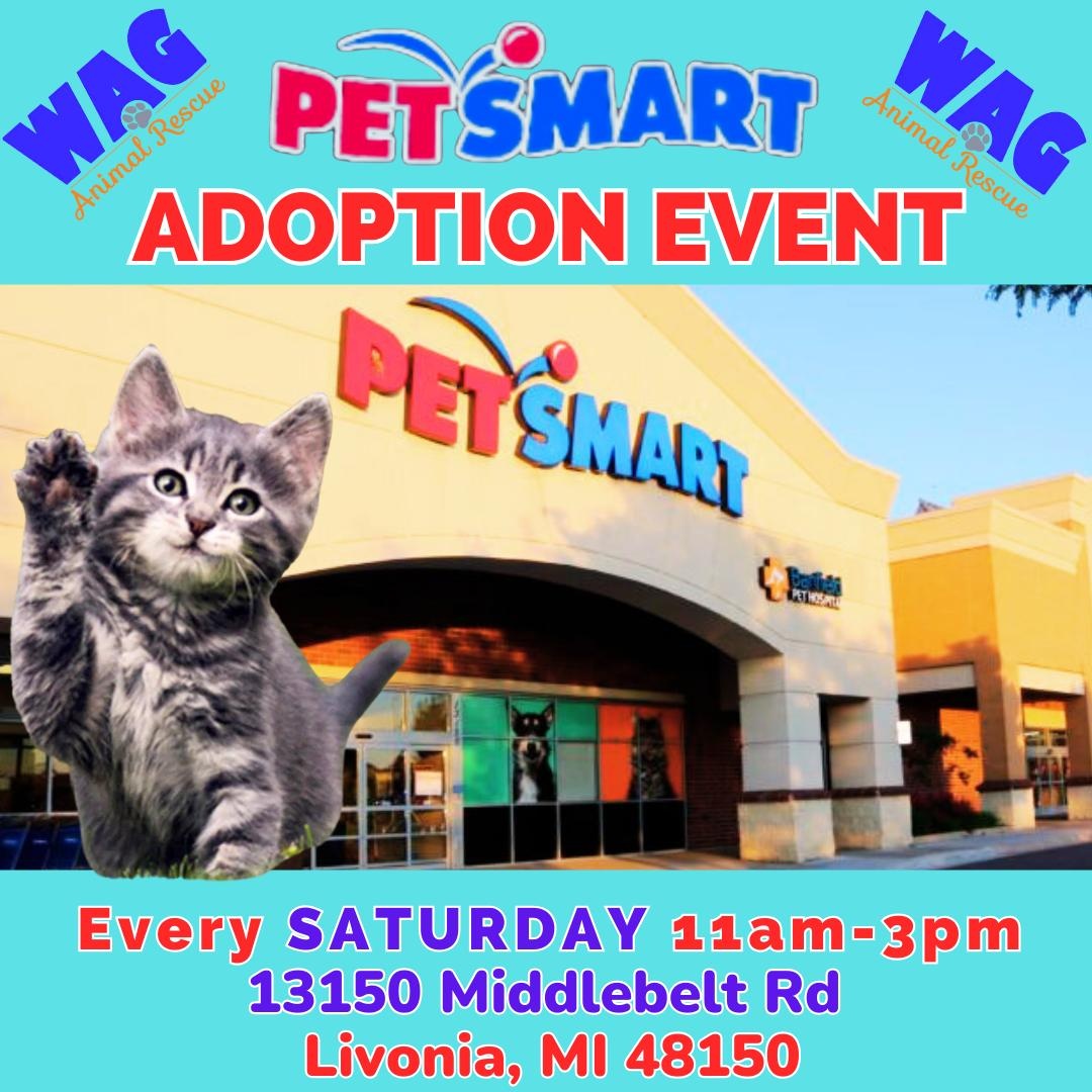 Gianna @ Livonia PetSmart