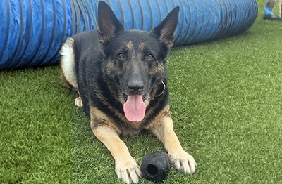 Diego