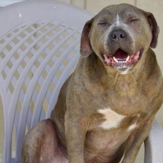 Wilma  Heartbroken thumbnail 2