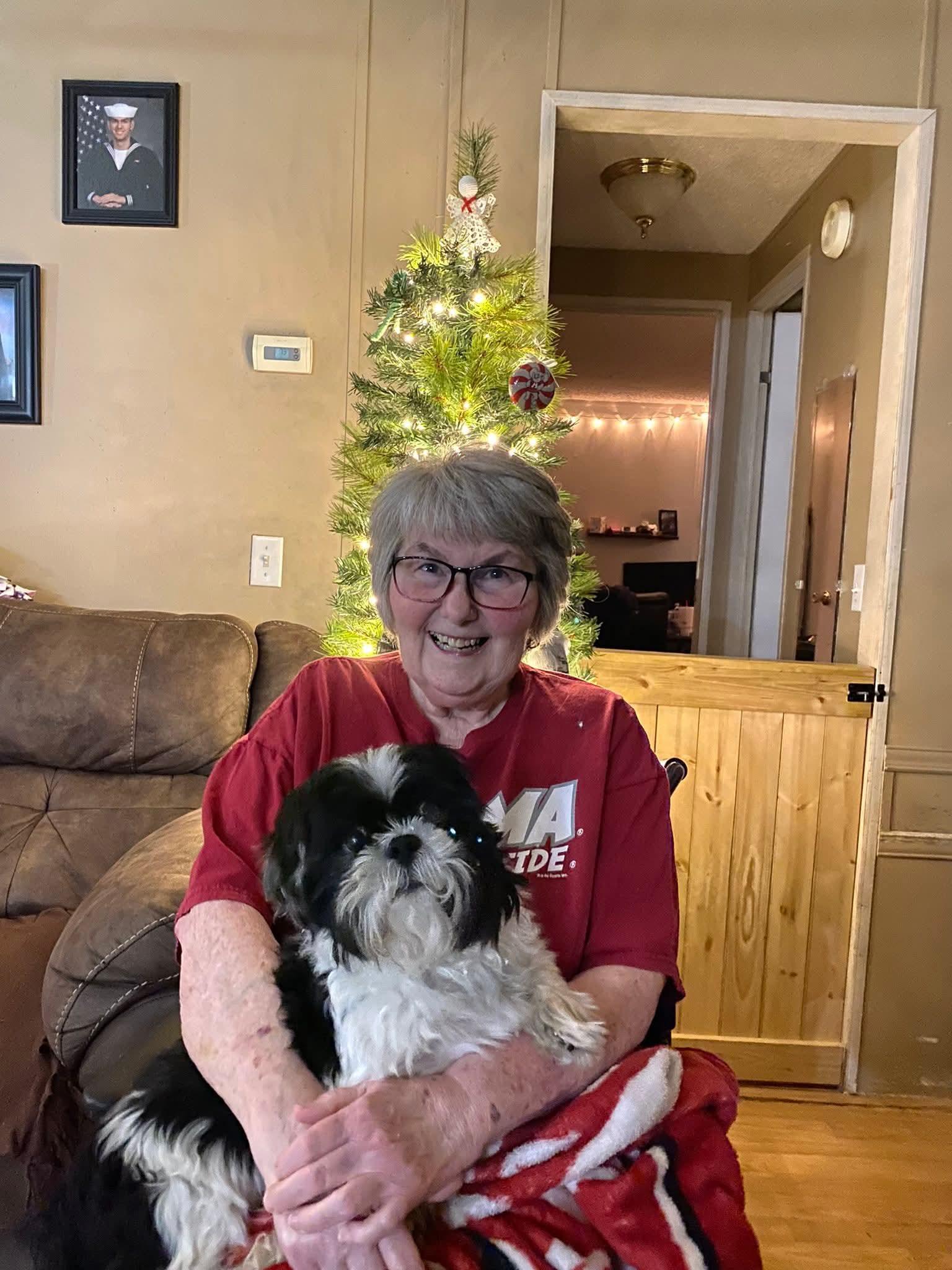 Ozzy, Adopted, Senior Male Shih Tzu.