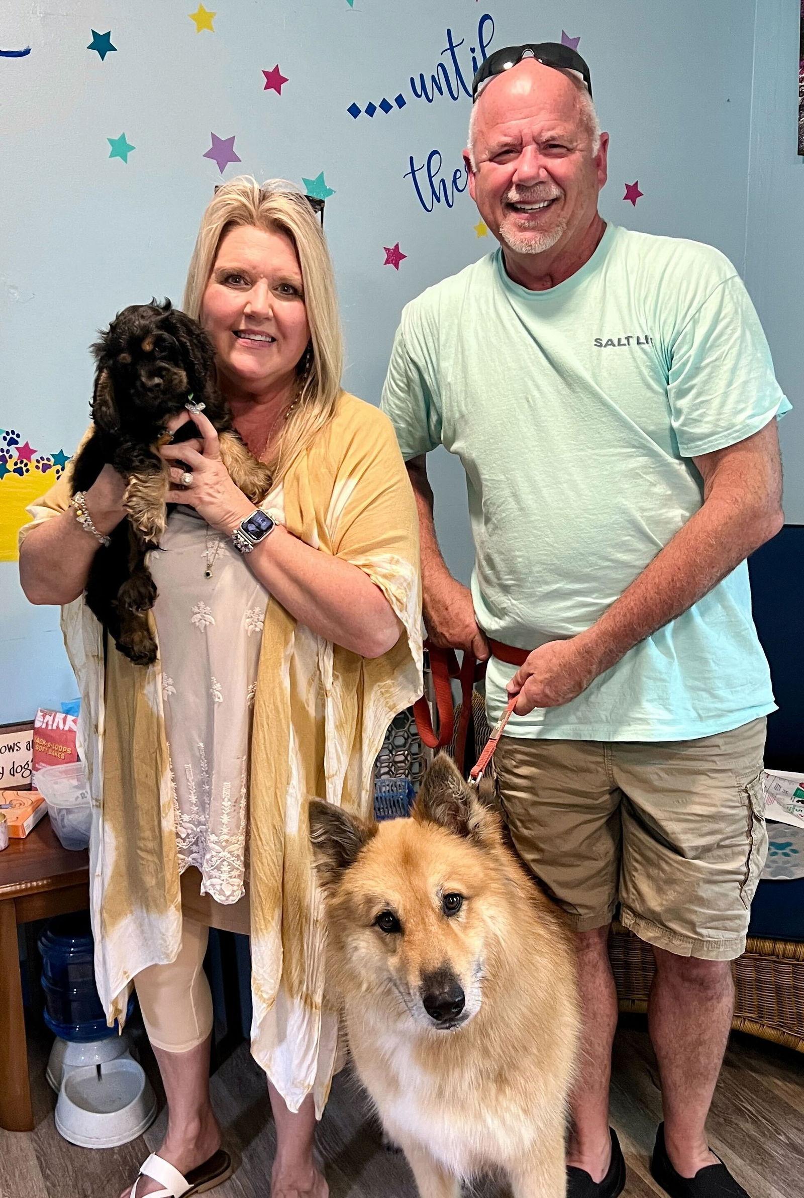 Enlarge Mowgli May 24, a Adopted Cocker Spaniel in Pacolet, SC image 2/3