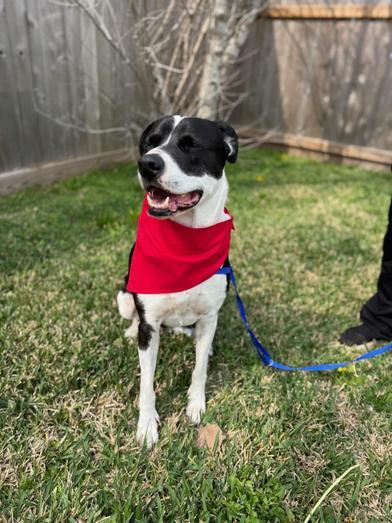 Sienna — thumbnail 2