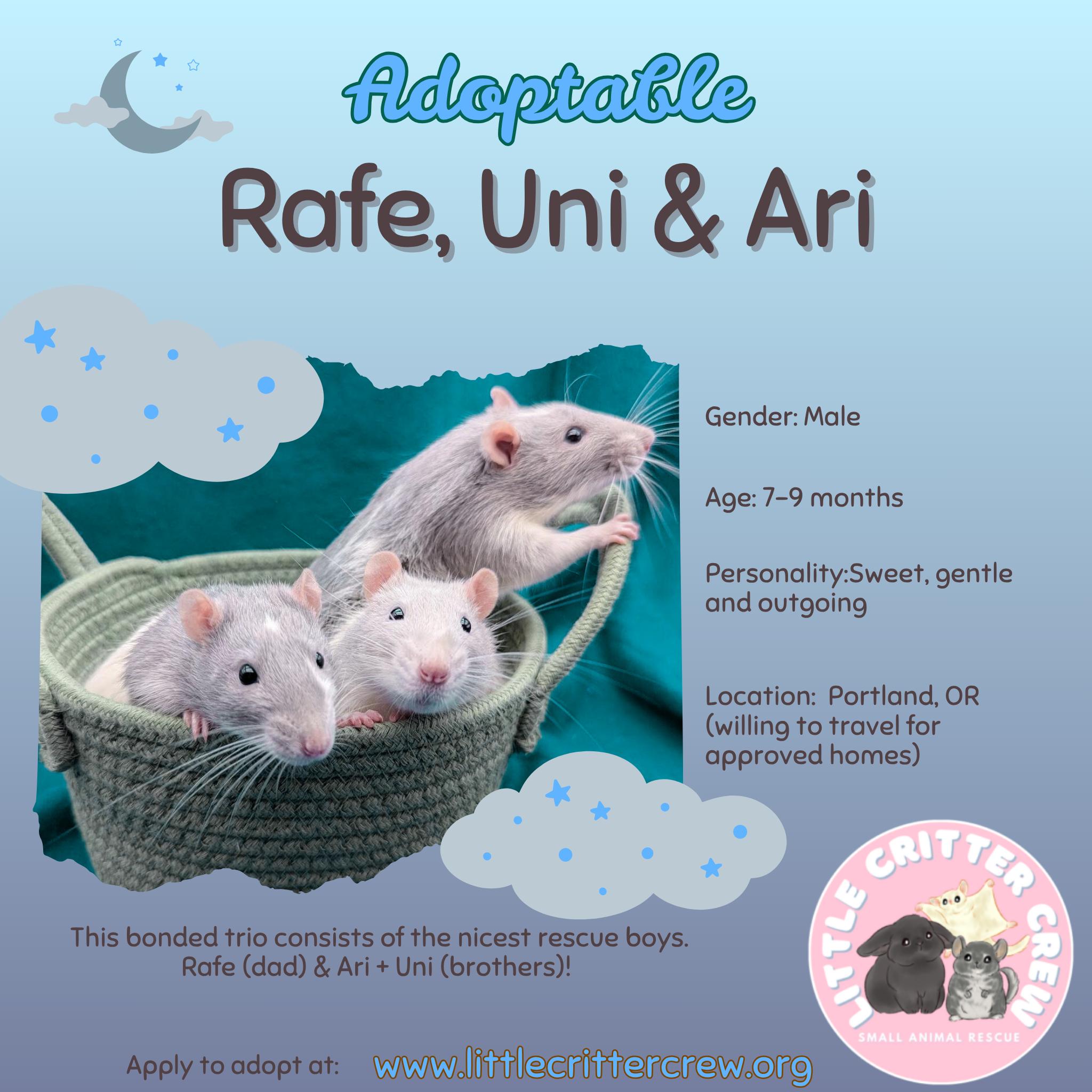 Rafe, Ari and Uni