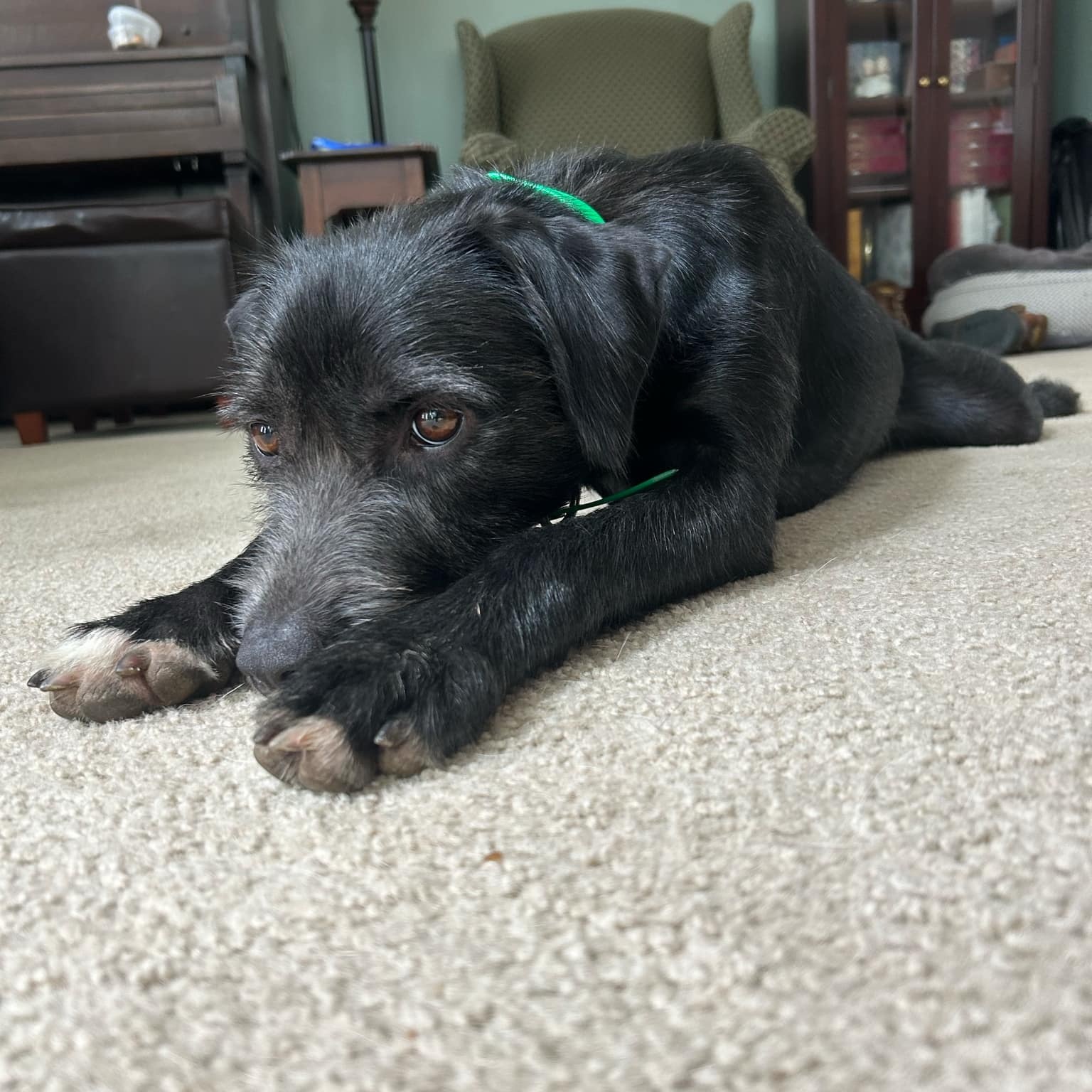 Murphy photo 2