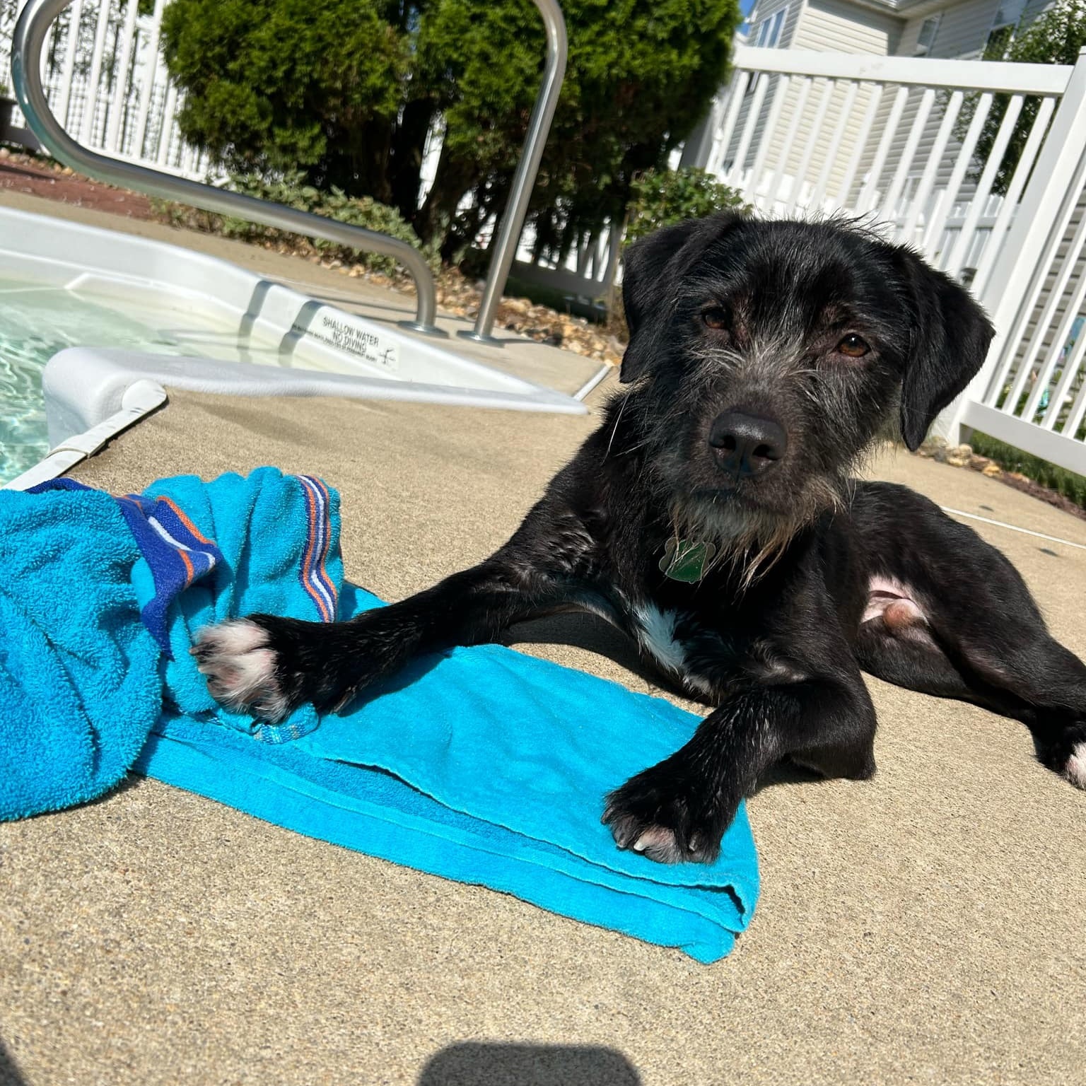 Murphy photo 5