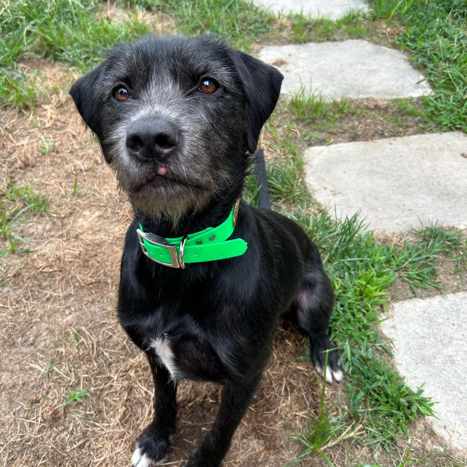 Murphy photo 1
