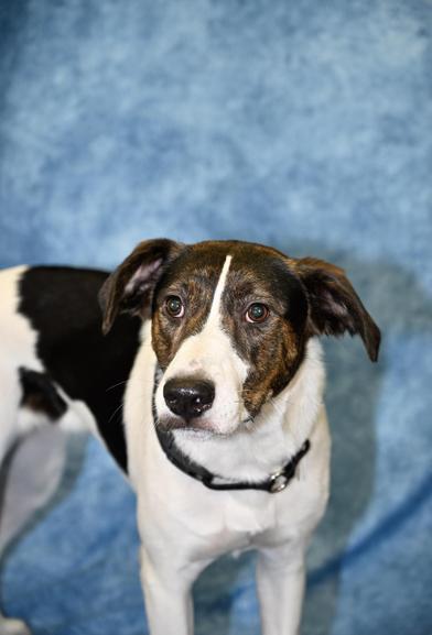 Reeba — thumbnail 2