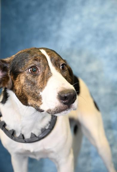 Reeba — thumbnail 3