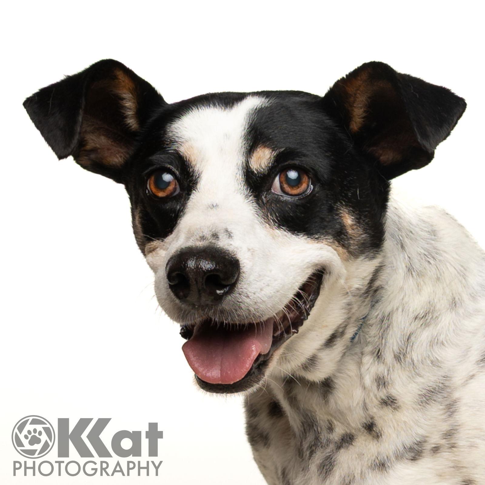 Pete — thumbnail 2