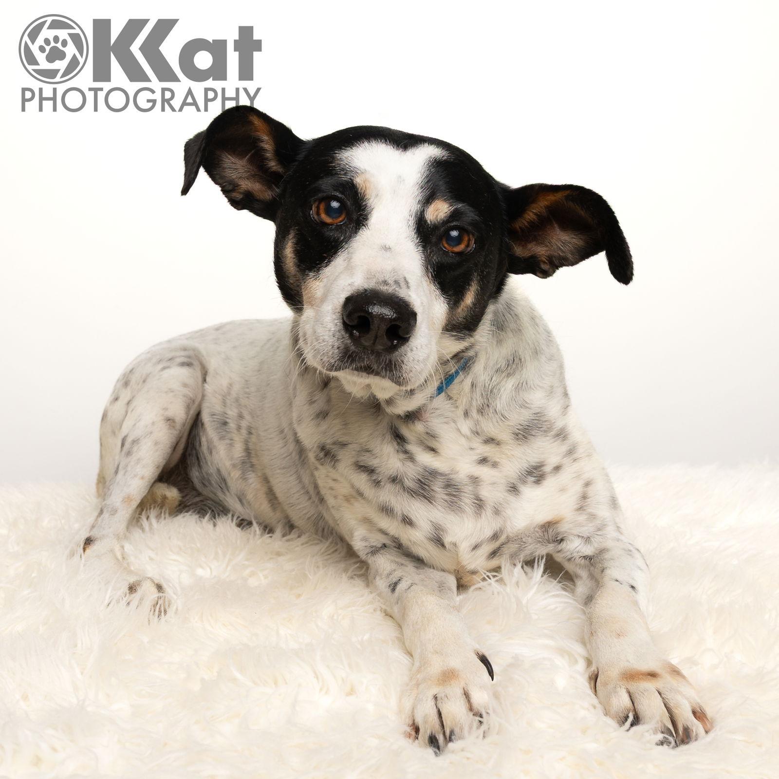 Pete — thumbnail 3