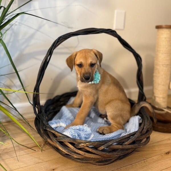 Jacque the silly guy — thumbnail 3