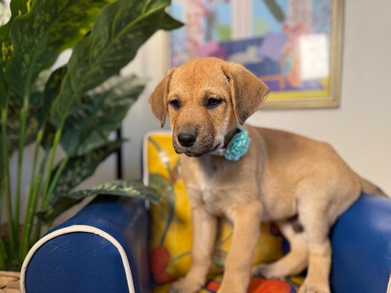 Jacque the silly guy — thumbnail 4