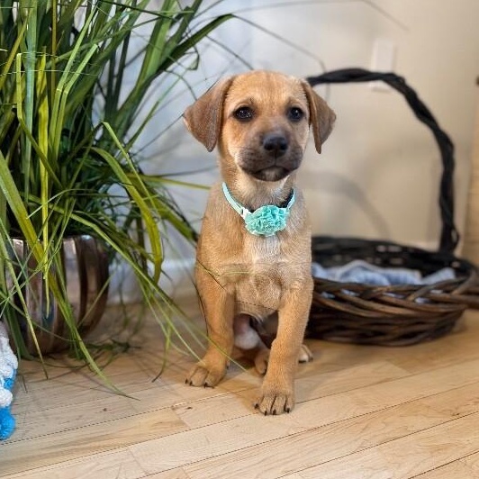 Jacque the silly guy — thumbnail 5