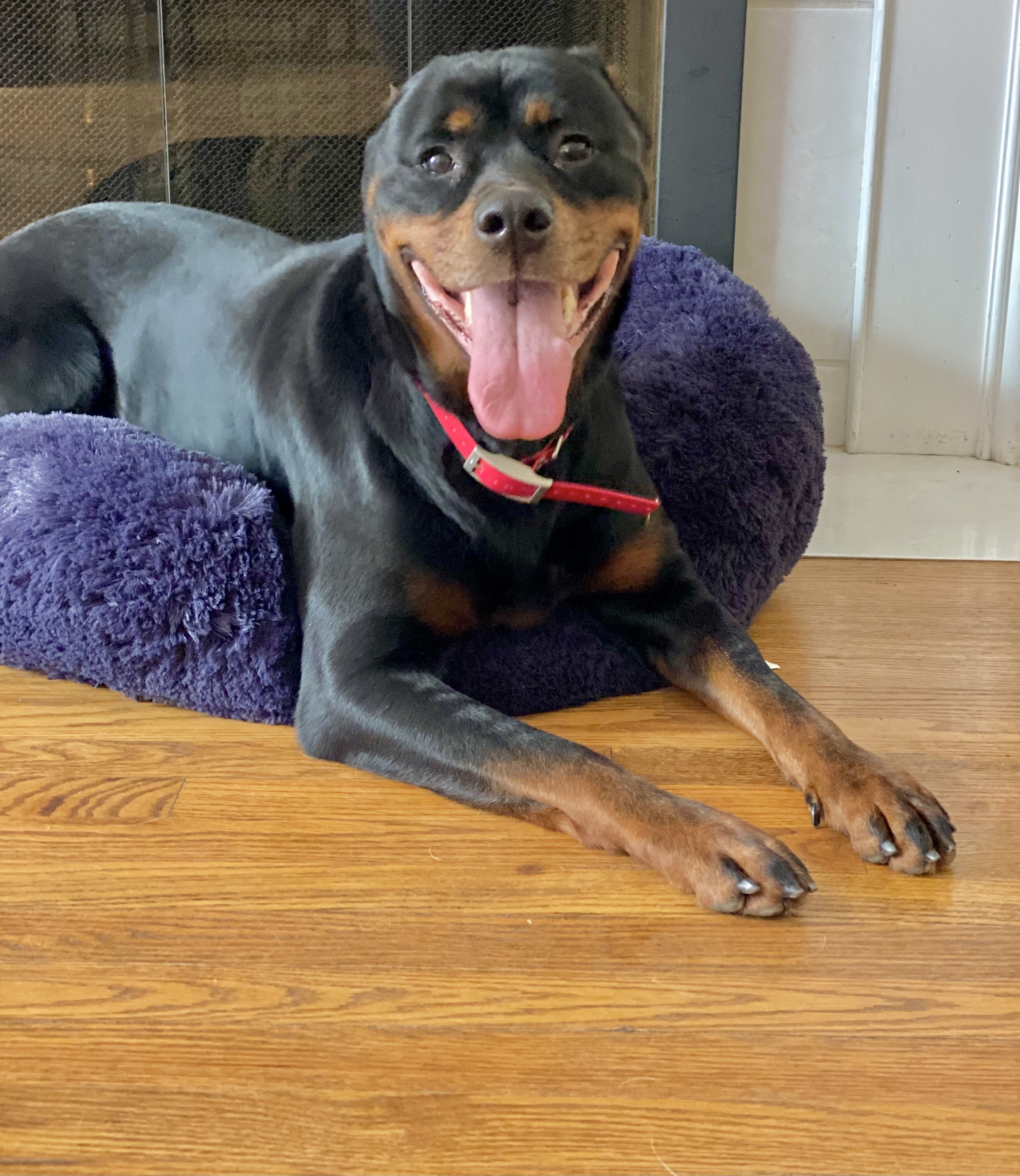 Fani Louise - A Beautiful Soul Ready for Her Safe Place photo 4