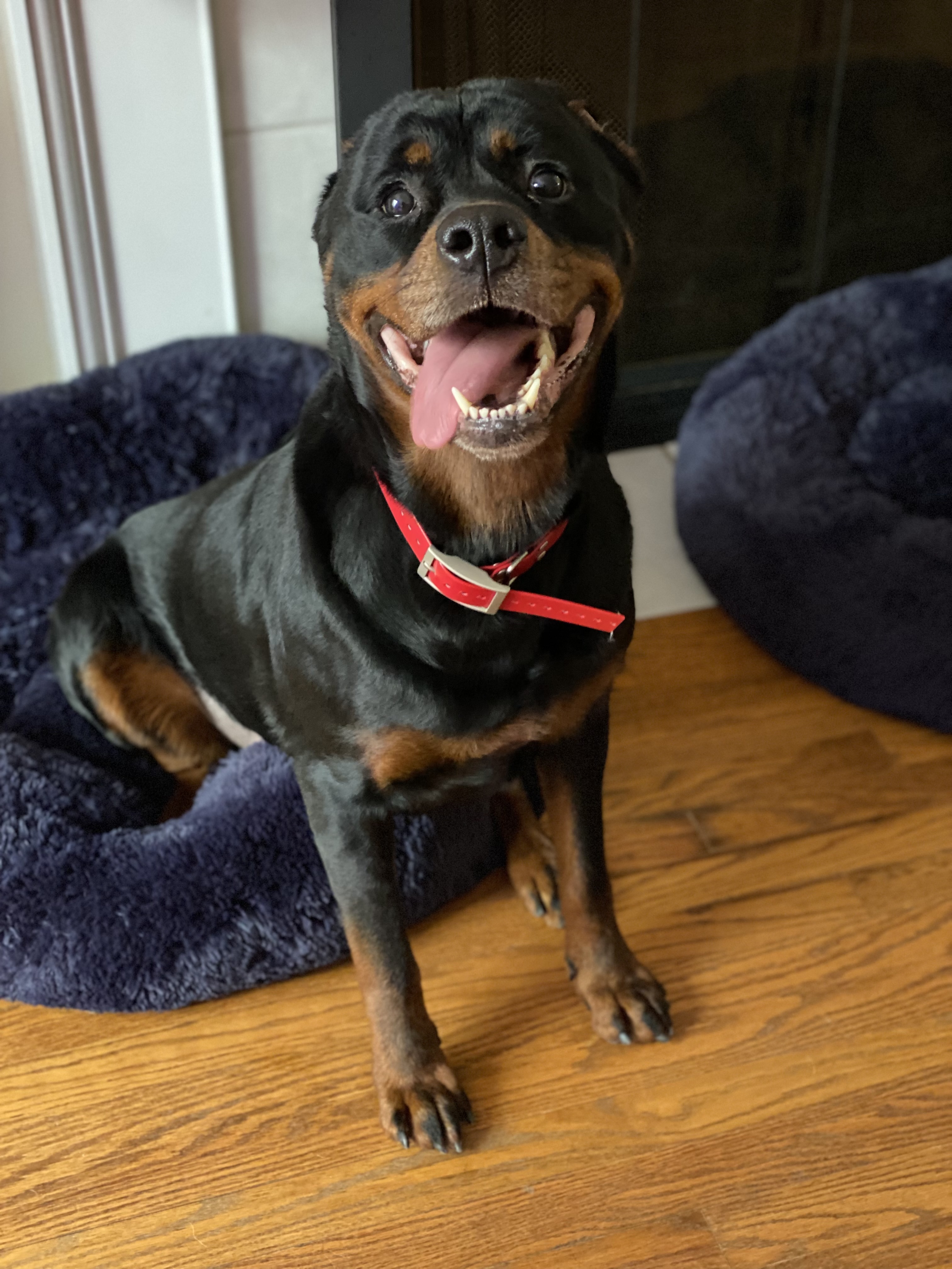 Fani Louise - A Beautiful Soul Ready for Her Safe Place photo 3