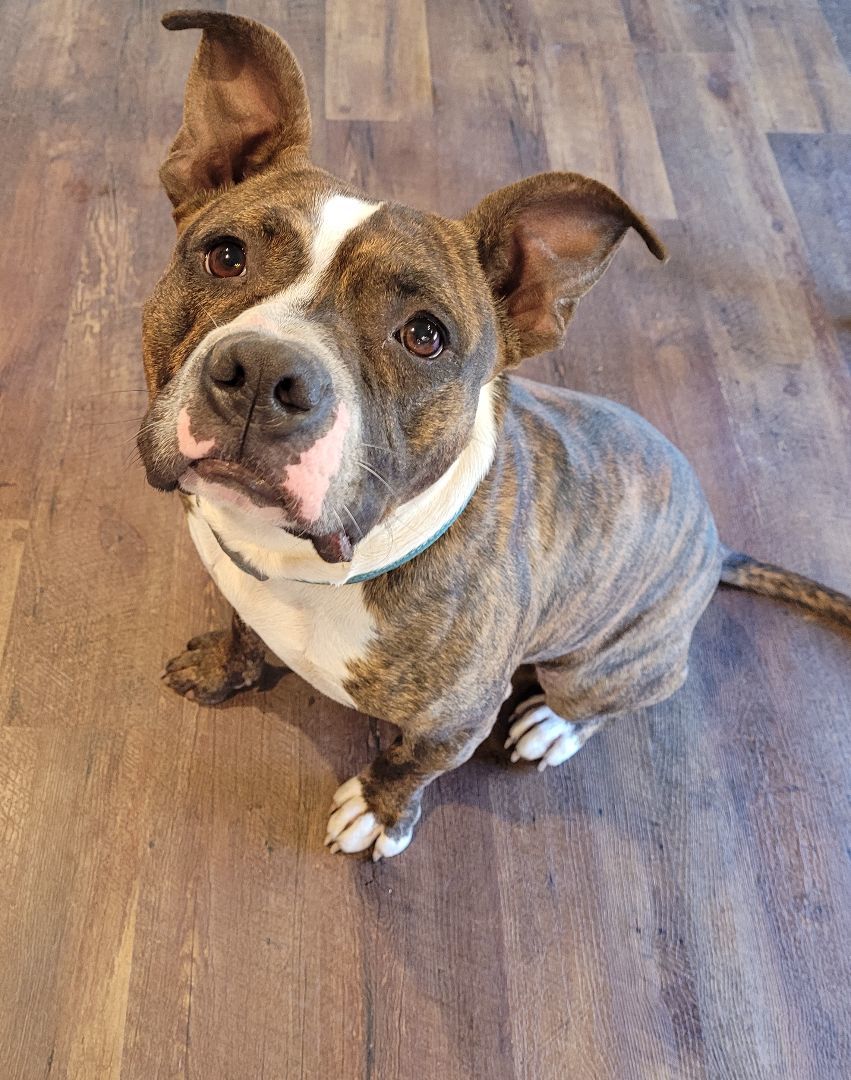 Roscoe photo 4