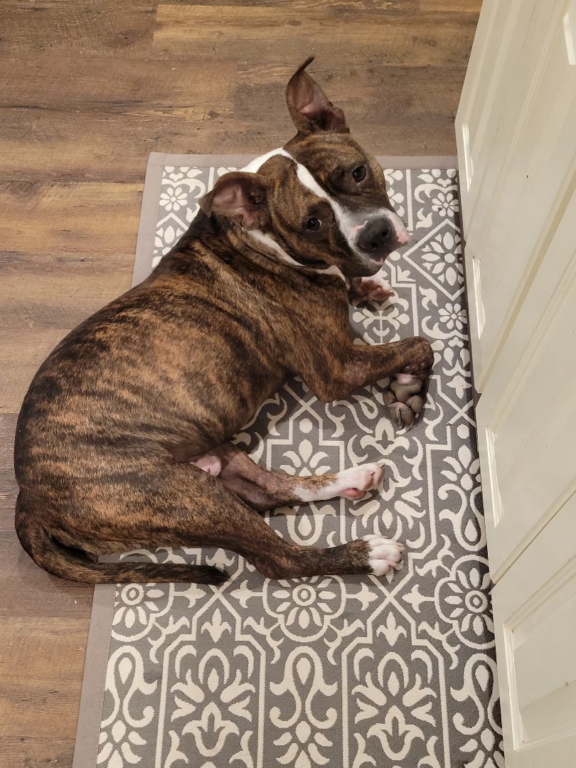 Roscoe