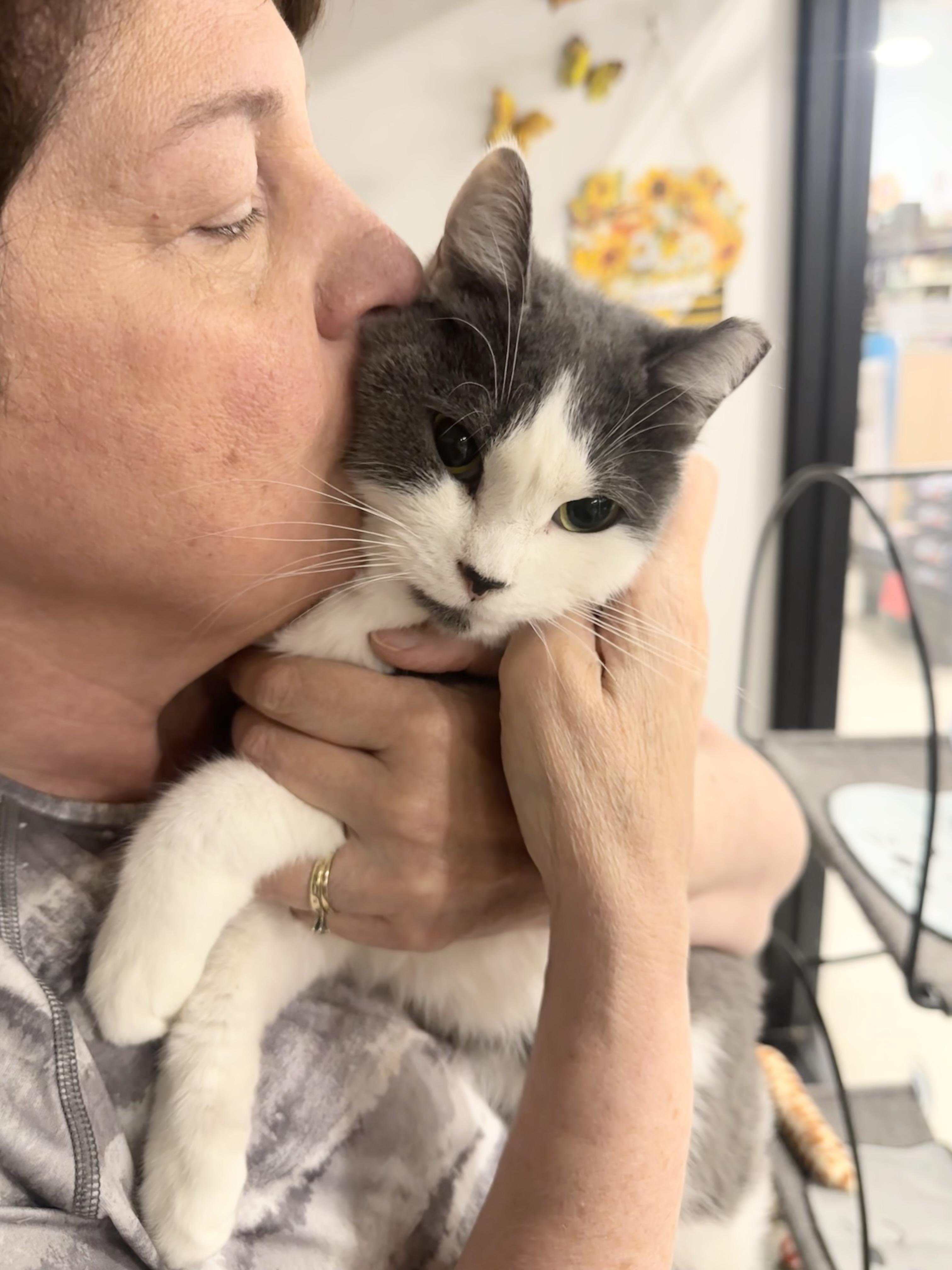 Flossie (bobtail - good with dogs!)