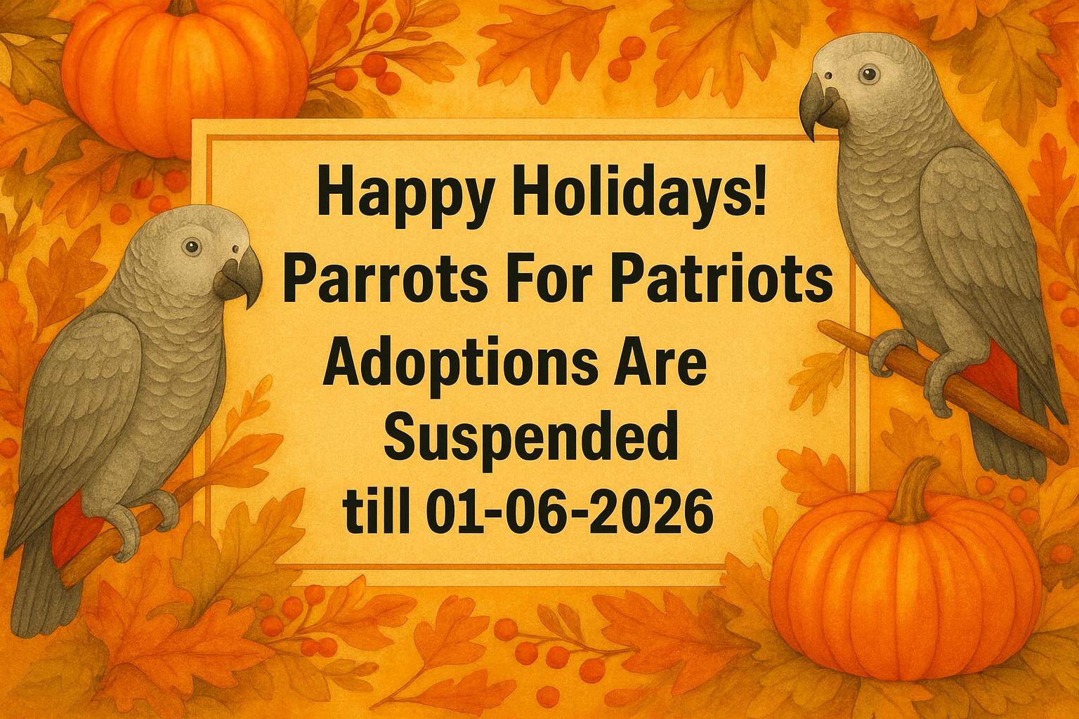 Enlarge Parrots For Patriots For Veterans Now..., a Adoptable Amazon in Vancouver, WA image 1/5