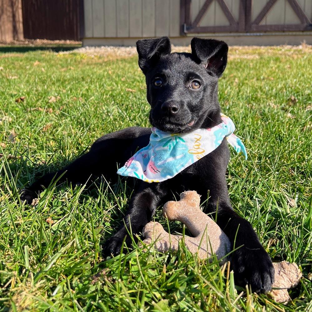 Melody Pond thumbnail 2