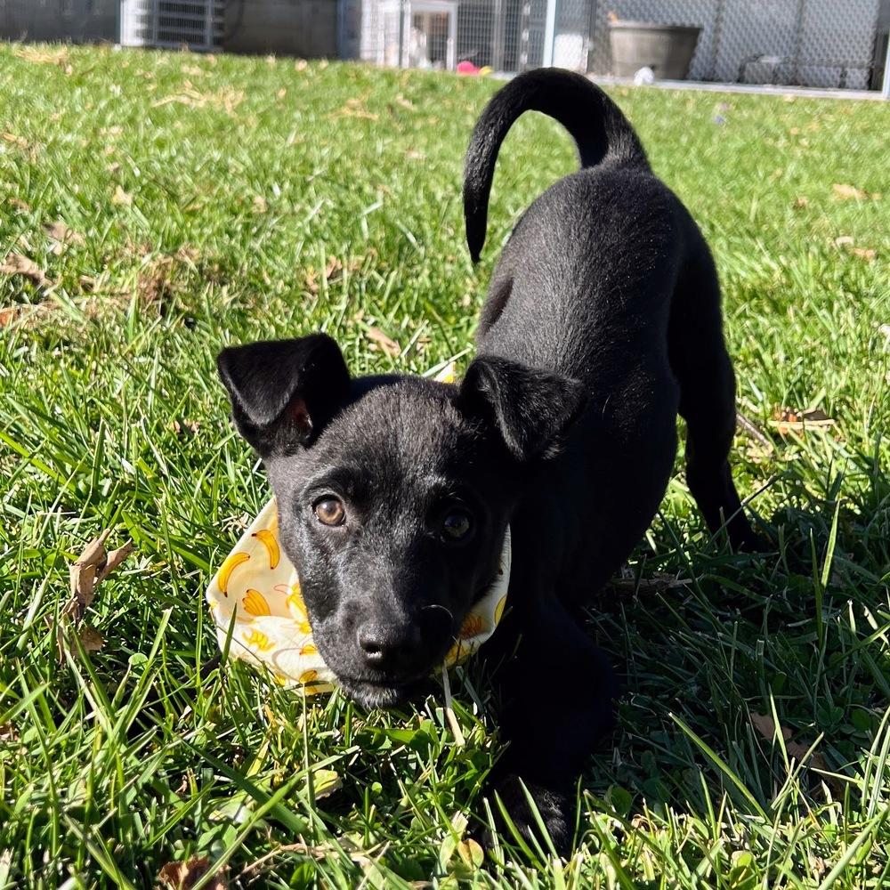 Melody Pond thumbnail 3