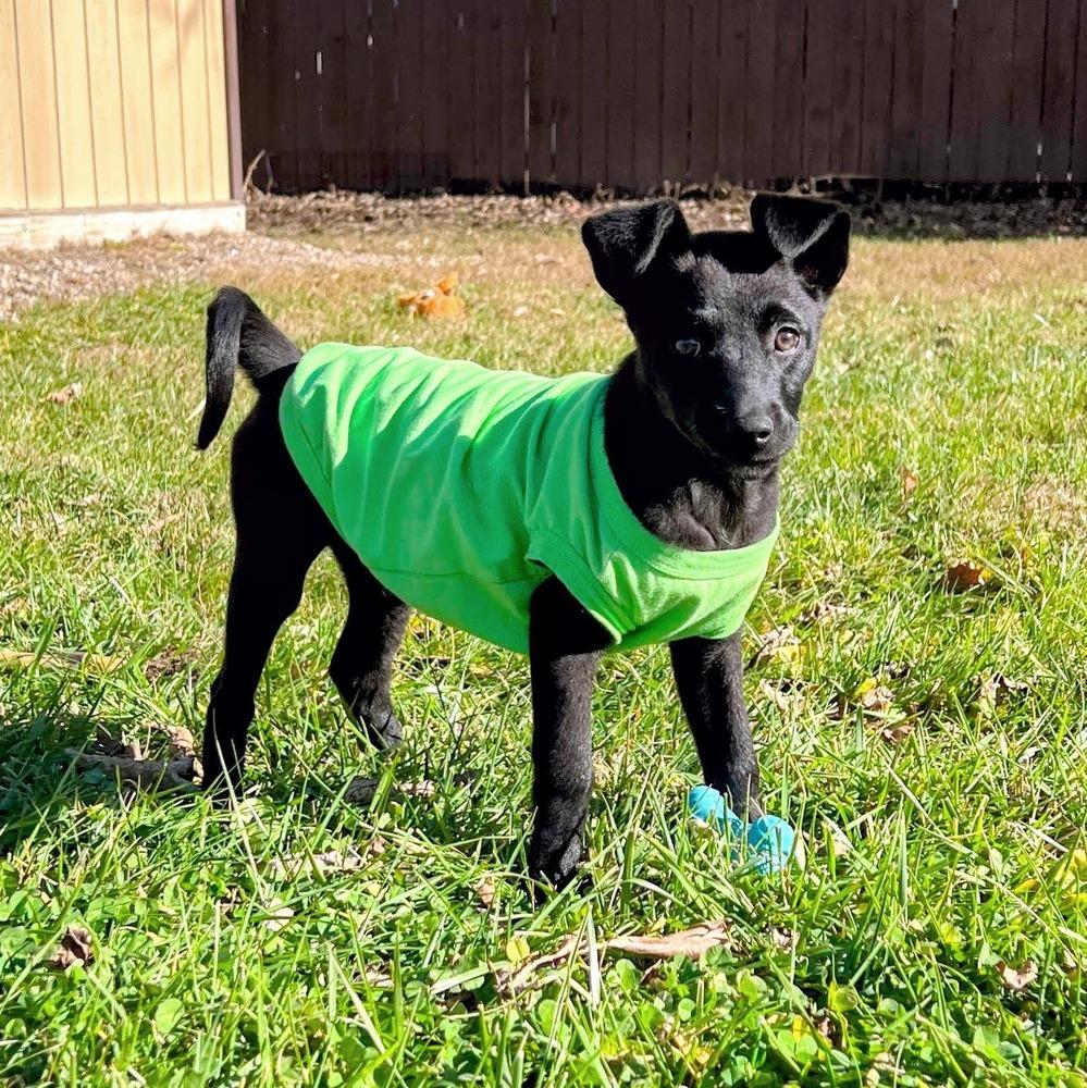 Melody Pond thumbnail 4