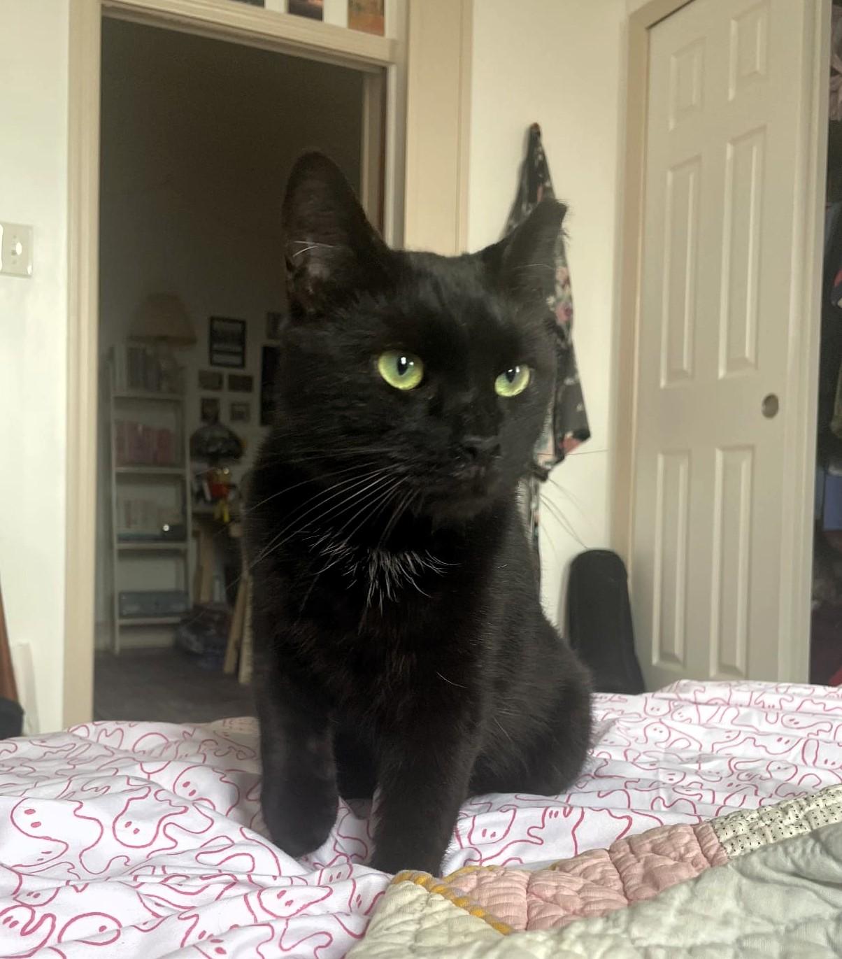 Zoey
