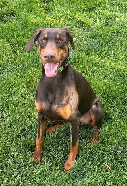 Delilah