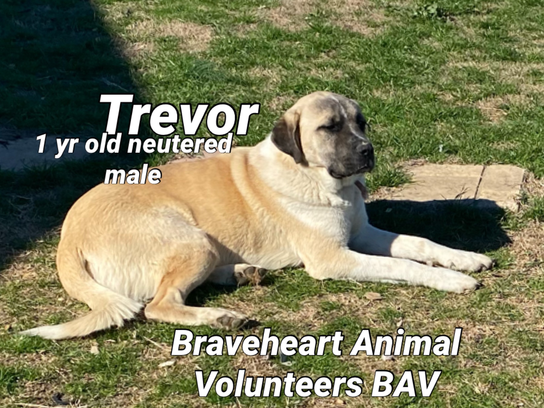 Trevor