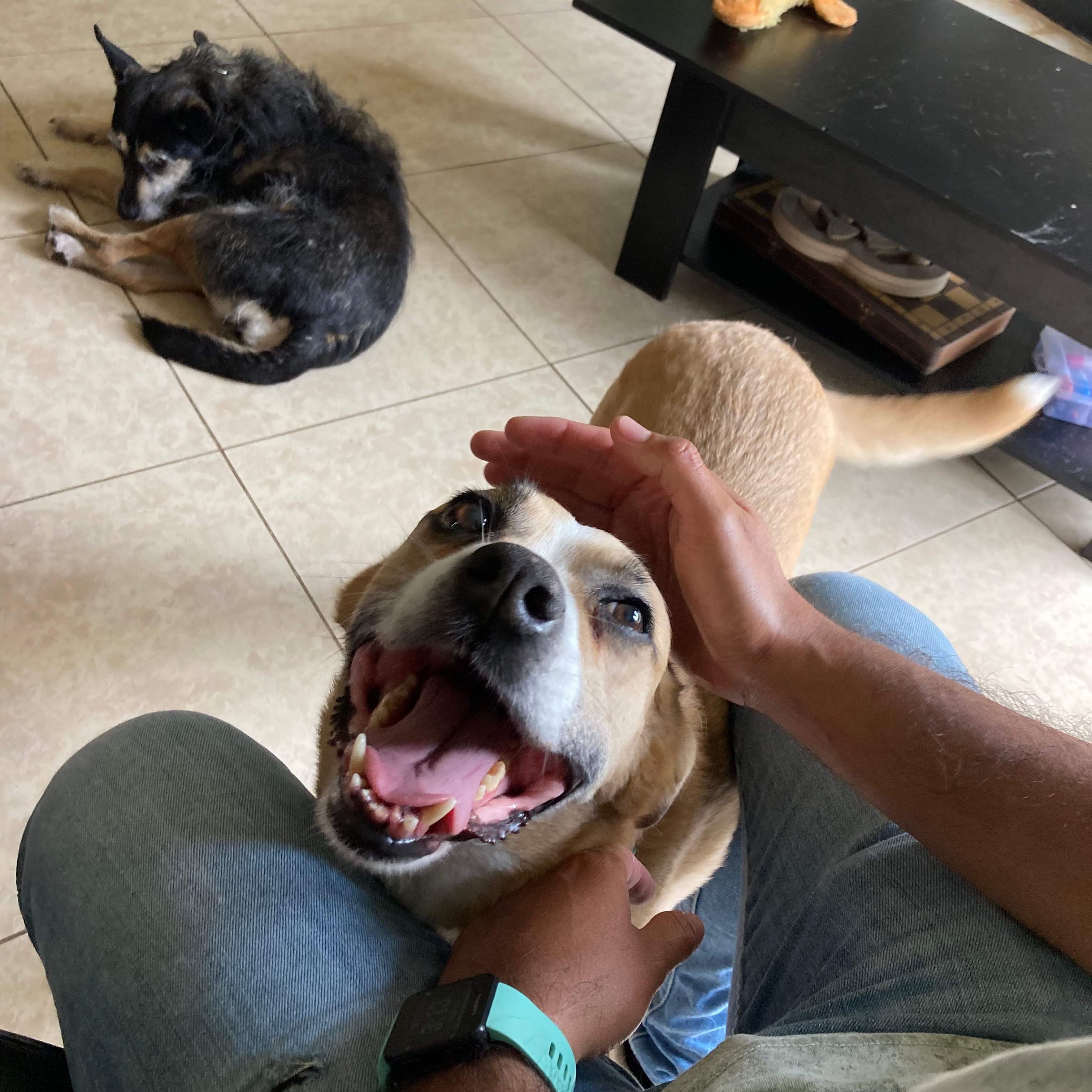 Mocha — thumbnail 2