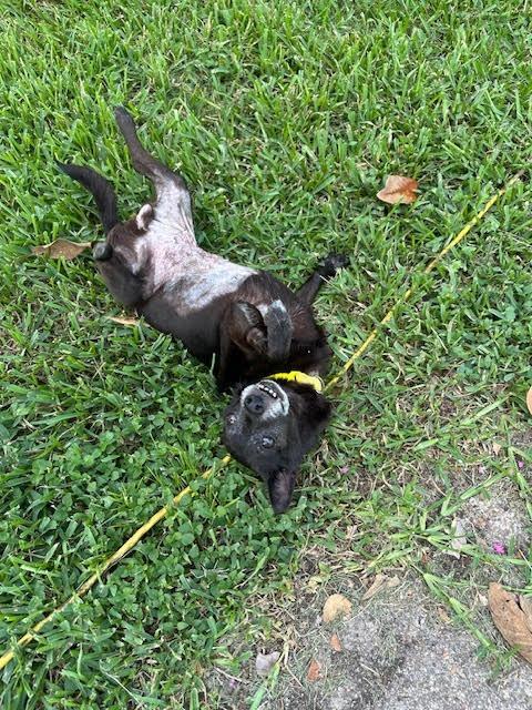 Ebby (Huliee) — thumbnail 3