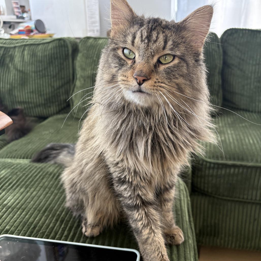 Boyfriend — thumbnail 2