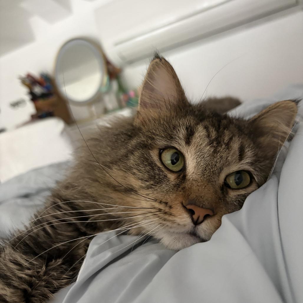 Boyfriend — thumbnail 3