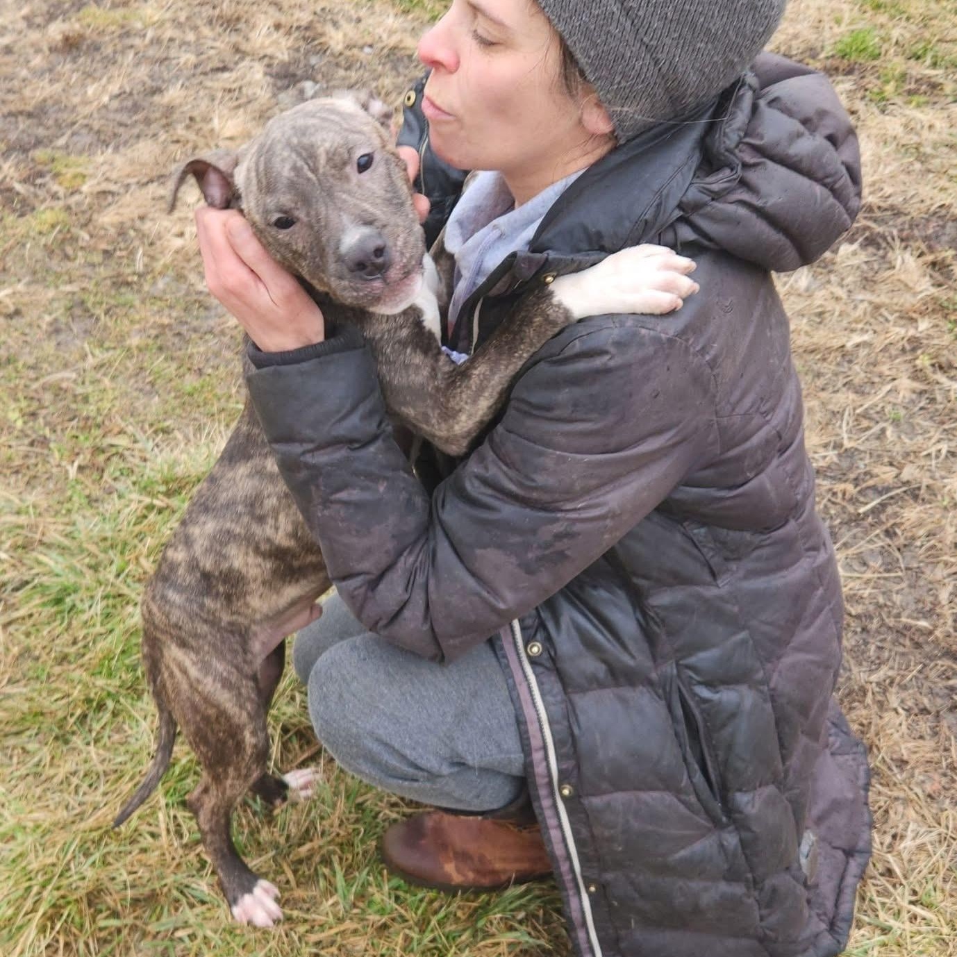 Truman - NEEDS FOSTER or FOREVER HOME