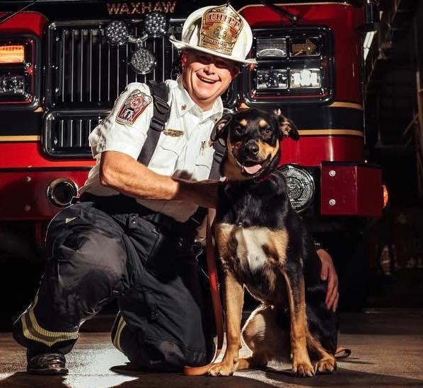 Enlarge Dexter, a Adoptable mixed breed in Waxhaw, NC image 2/4