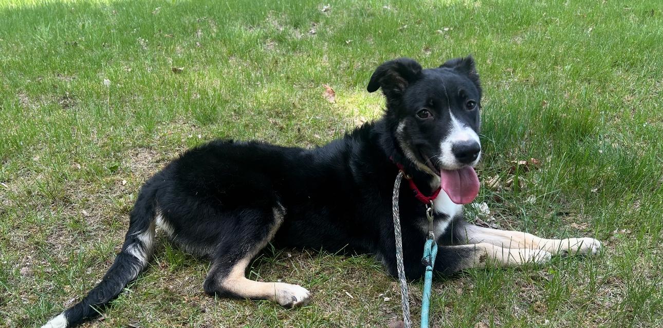 Mary Mack thumbnail 5