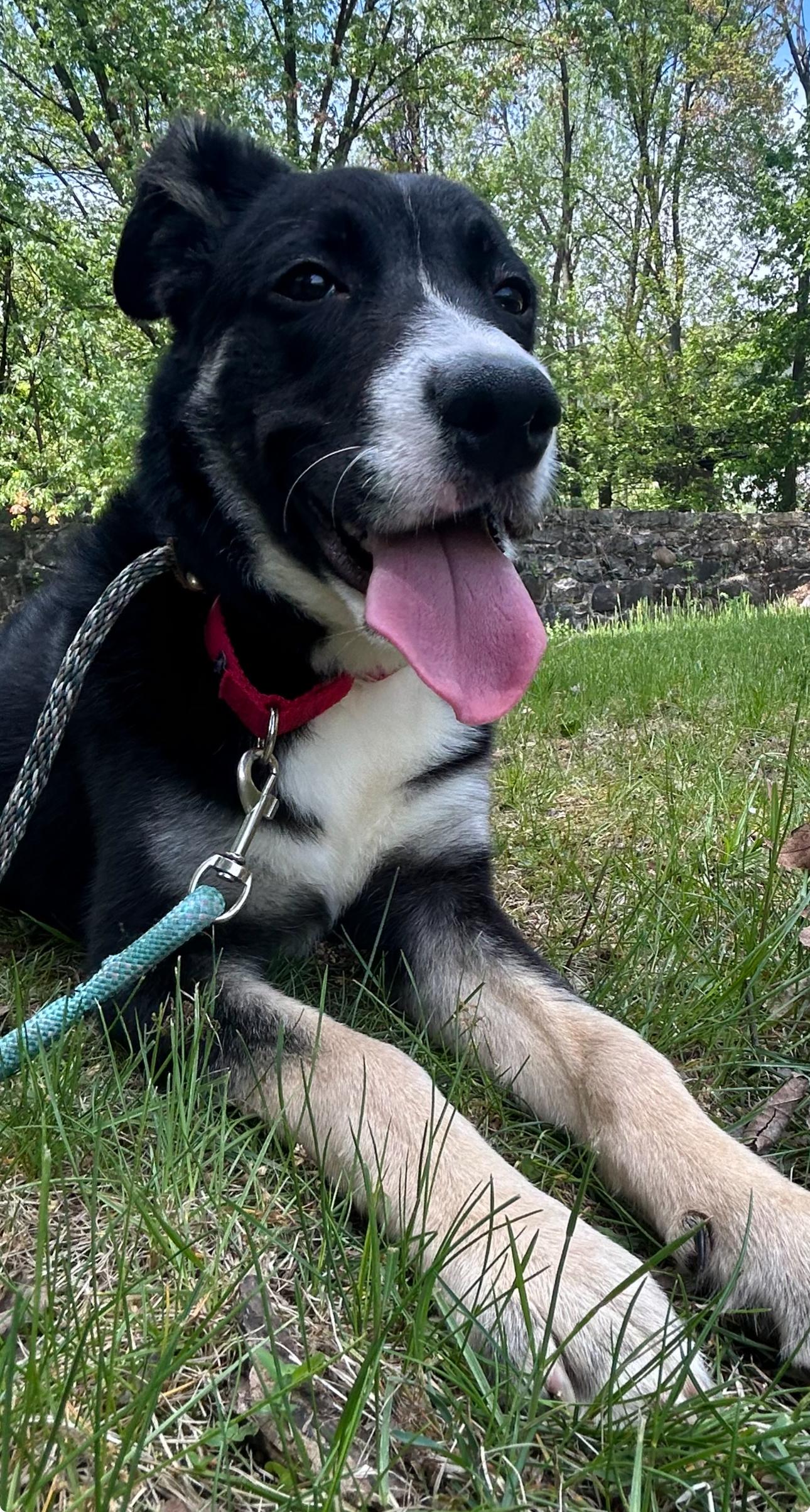 Mary Mack thumbnail 4