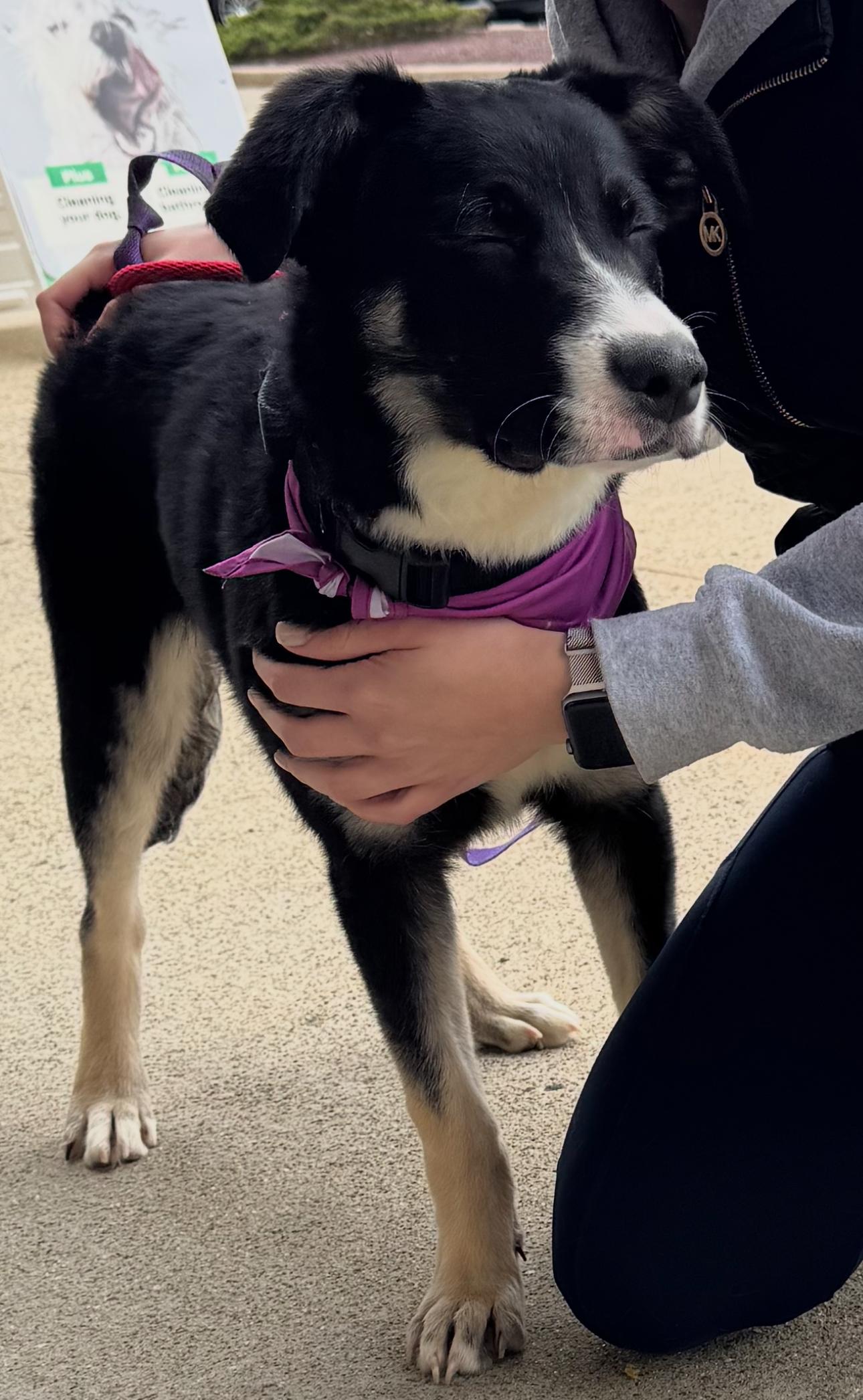 Mary Mack thumbnail 2