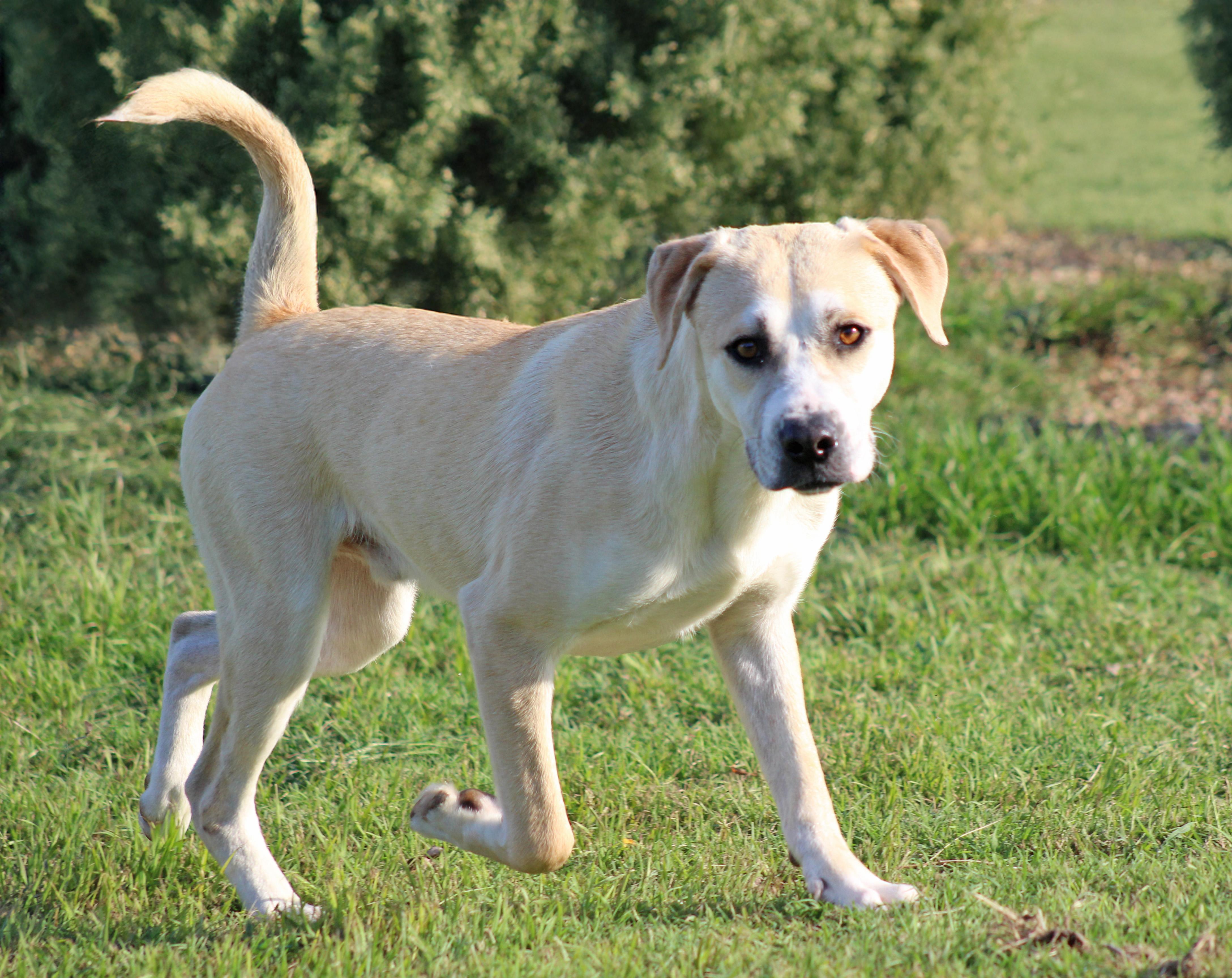 Banjo, Young Male unknown