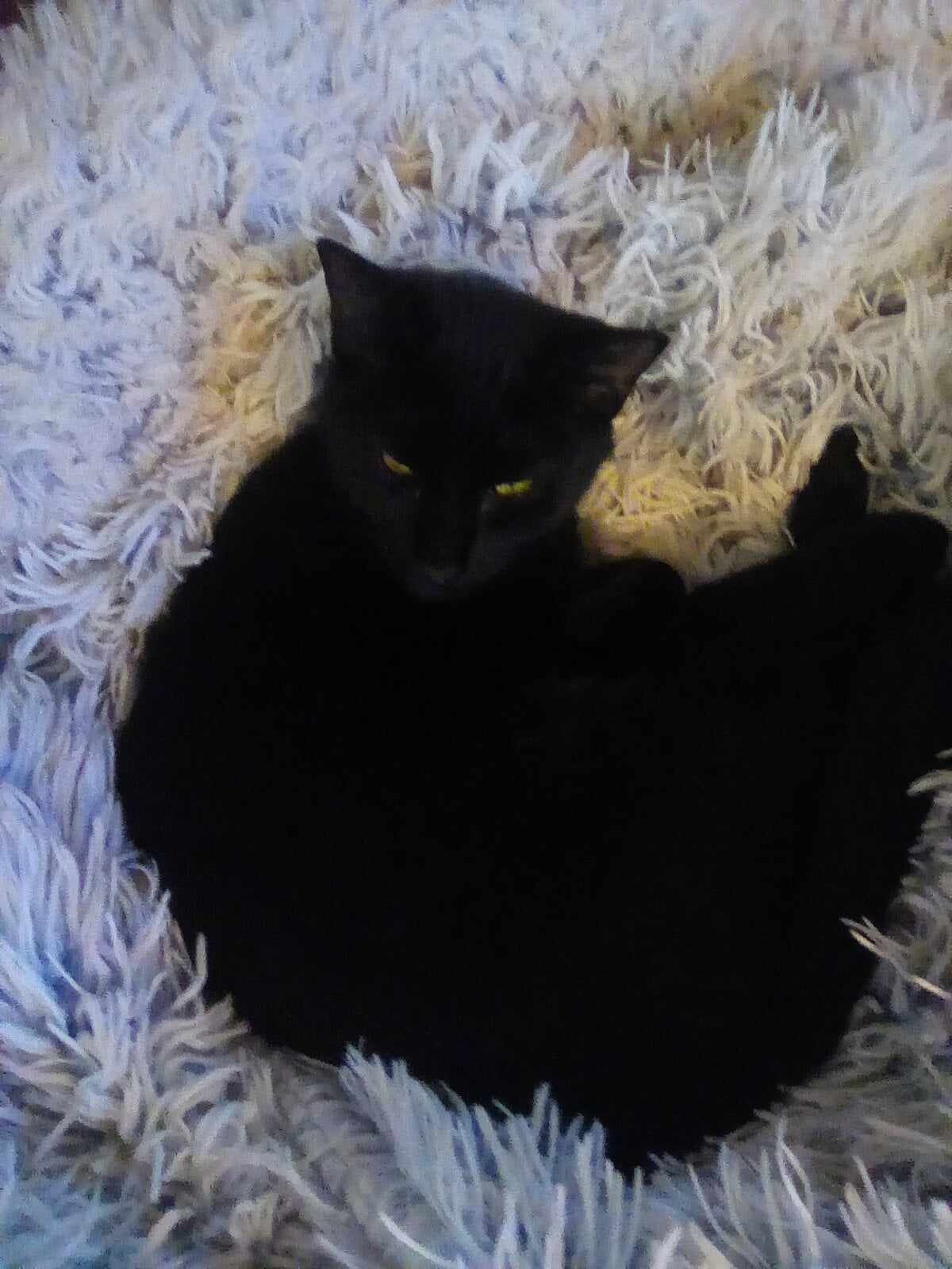 Brandy & Roscoe photo 3