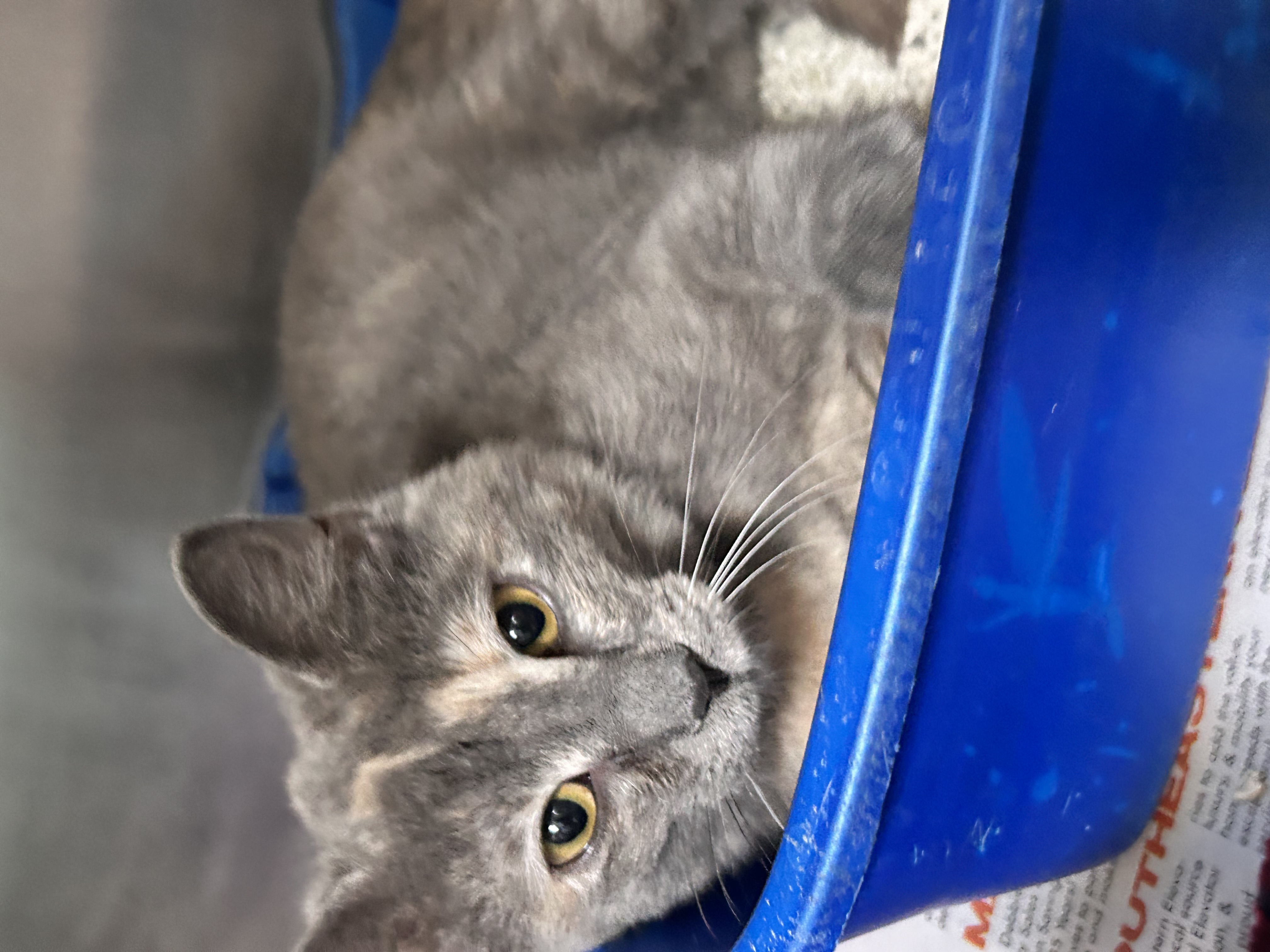 Hilda(Foster Care) photo 2